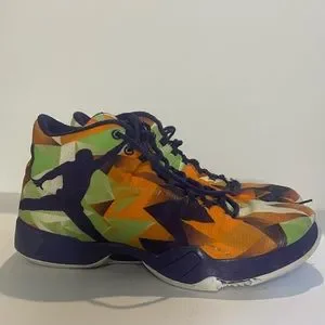Nike | Shoes | Jordan 29 Hare 25 Size 11 Used 695515805  display picture 1